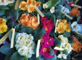 Kwiaty dla członkiń Koła Gospodyń Wiejskich w Zbarzewie z okazji Dnia Kobiet